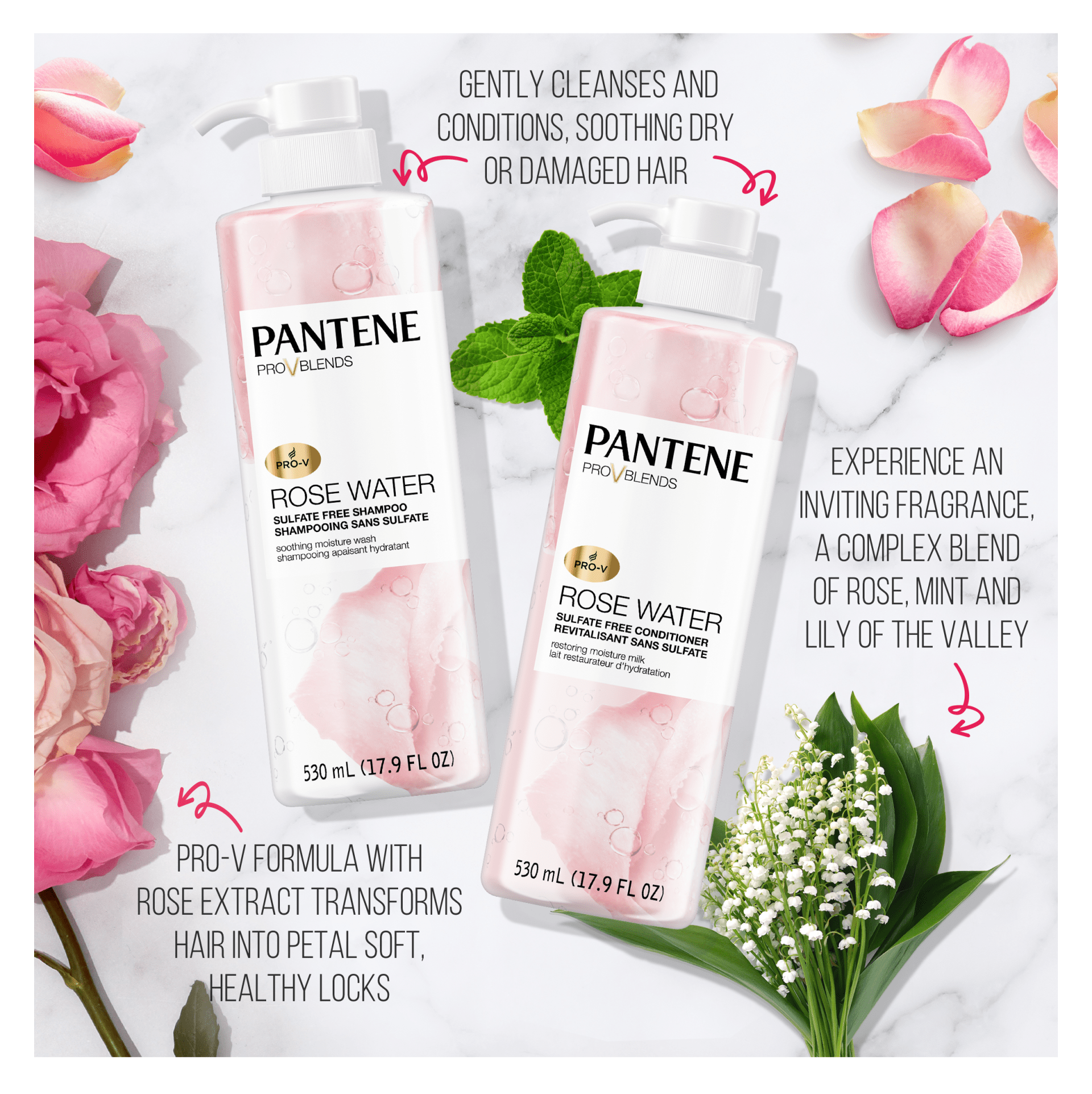 Foodrunner Canada Pantene ProV Blends Rose Water Shampoo and