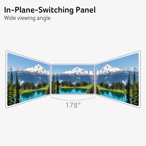 In-Plane Switching Technology