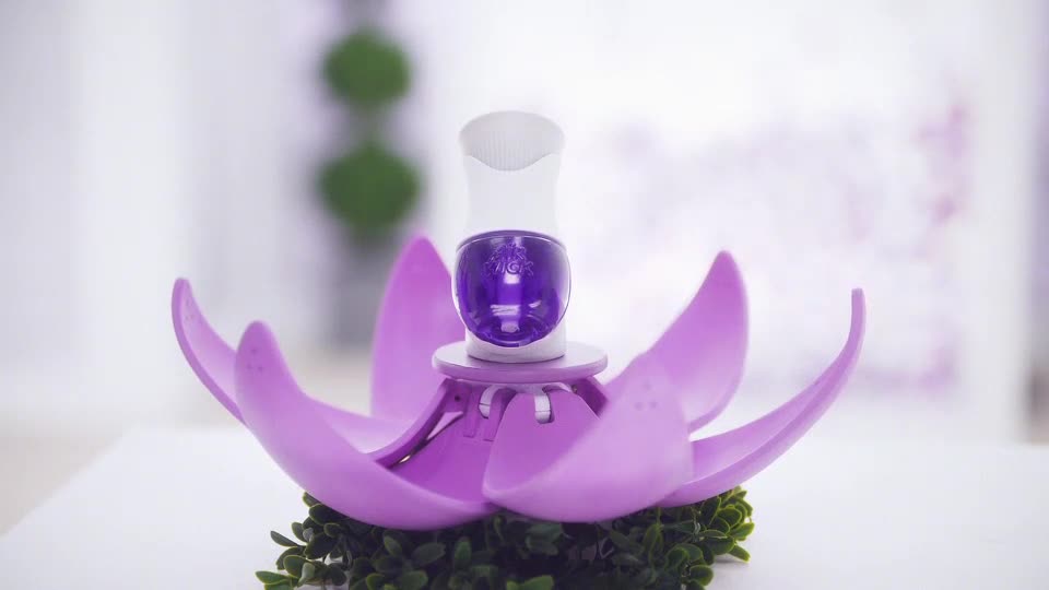 Air Wick Plug in Scented Oil Refill, 2ct, Lavender and Chamomile, Air Freshener, Essential Oils - image 2 of 12