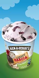 Ben &amp; Jerry&#39;s Cherry Garcia&#174; Frozen Dessert