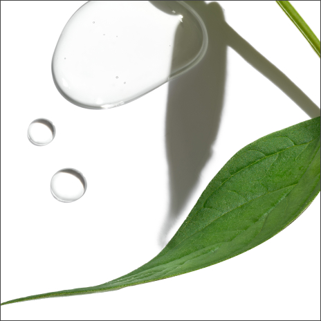 Peppermint, Spearmint, and Tea Tree Oil Complex