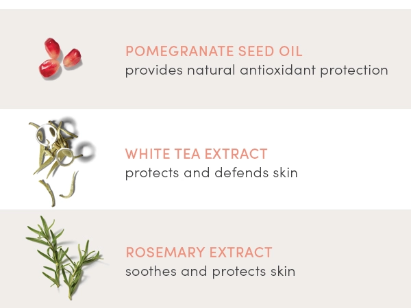 Graphic listing Pommisst Hydration Spray ingredients with pictures. These include pomegranate seed oil which provides natural antioxidant protection, white tea extract which protects and defends skin, and rosemary extract which soothes and protects skin.