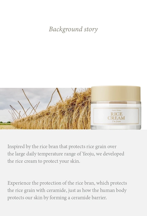 Rice Cream