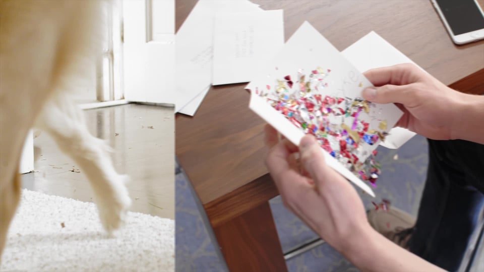 Hoover REACT Compact Bagless Upright Vacuum, UH73100