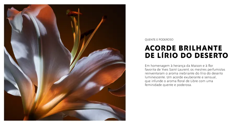 Libre Flowers &amp; Flames 4