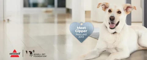 Every Purchase Saves Pets™