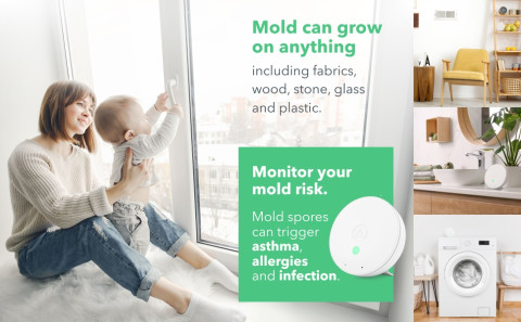 Airthings Wave Mini Battery Operated Smart Indoor Air Quality Monitor with  Mold-Risk Indication 2928 - The Home Depot
