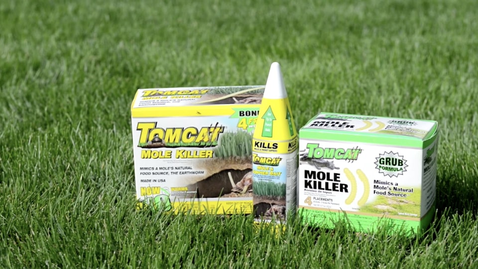 TOMCAT Mole Killerₐ, Mimics Natural Food Source, Poison Kills in a Single  Feeding, 10 Worms 372310 - The Home Depot