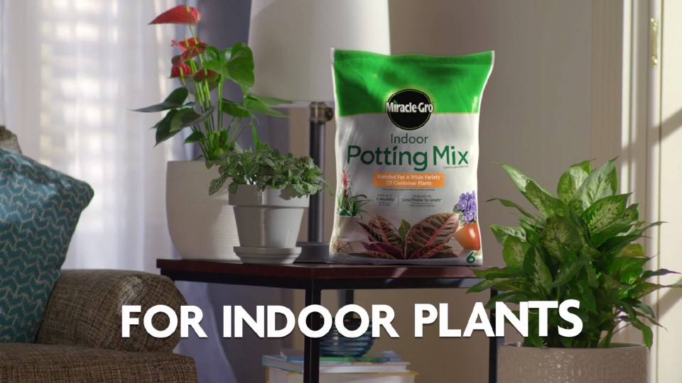 thumbnail video image 2 of (2 pack) Miracle-Gro Indoor Potting Mix, Blended for a Variety of Houseplants, 16 qt., 2 of 12
