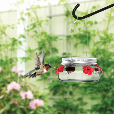 wild wings clear glass nectar hummingbird feeder