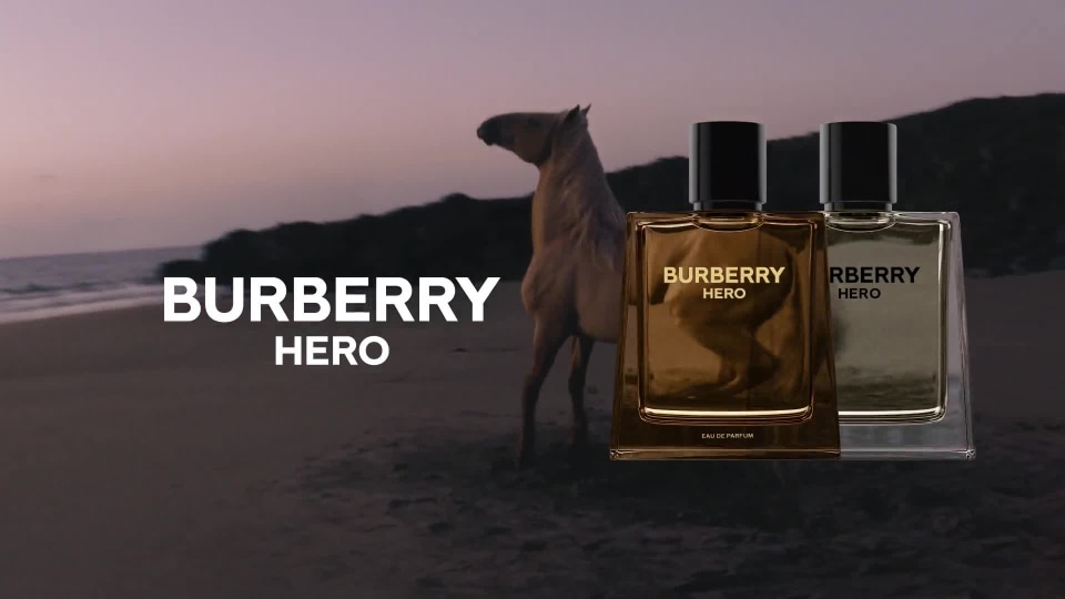 Burberry Hero Deodorant for Men | Dillard's