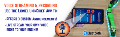 Voice Streaming & Recording