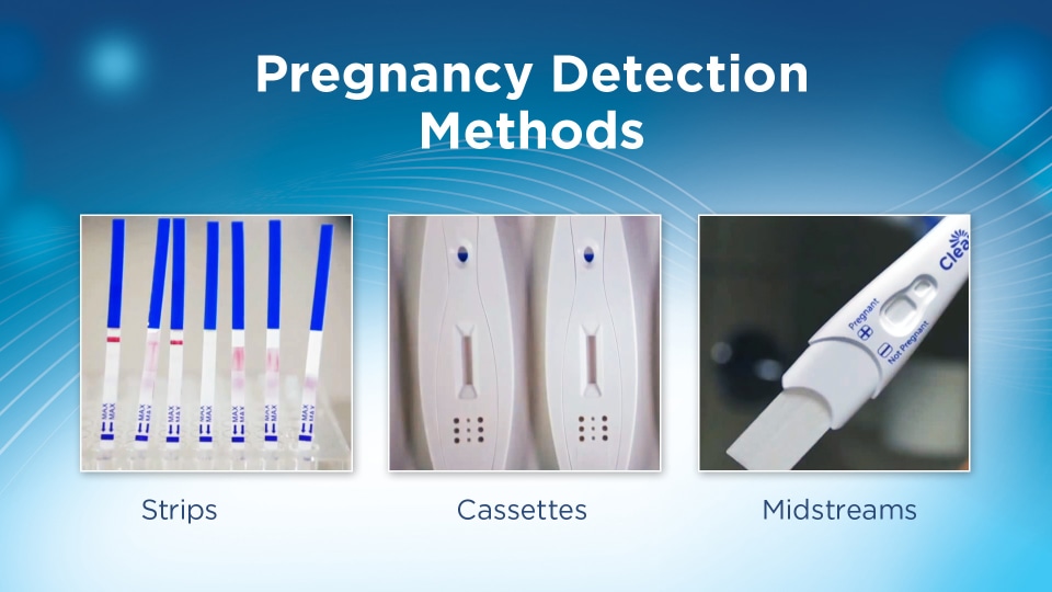 Тест на беременность plus. Электронный тест клеарблю. Тест на беременность Clearblue разобранный. Разобранный отрицательный цифровой тест Clearblue. Разобранный тест Clearblue цифровой положительный.