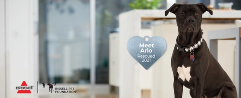 Every Purchase Saves Pets™