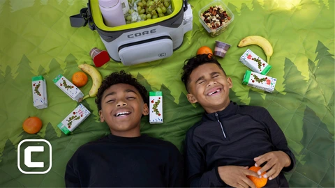 CORE Equipment CLIMAKEEP Magnetic 12-Can Soft Cooler | Dick's