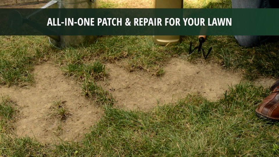 Scotts EZ Seed Patch and Repair Tall Fescue Lawns 20LB