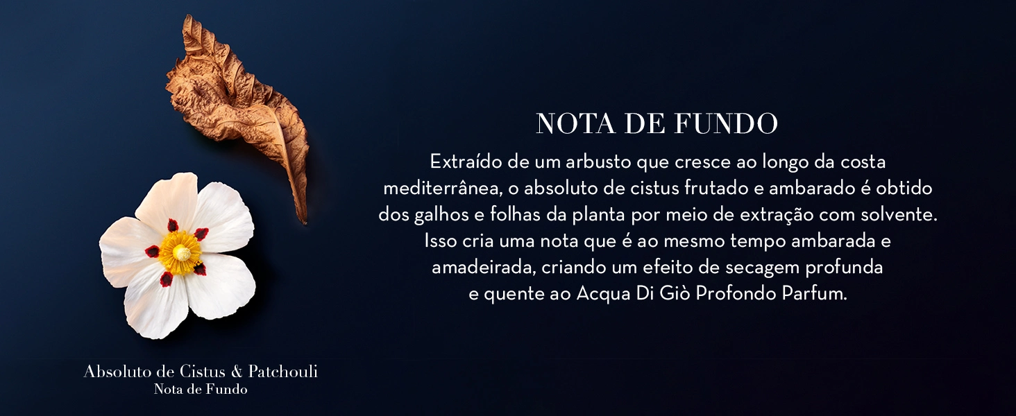 Perfume Giorgio Armani Acqua di Gi&ograve; Profondo Parfum Masculino