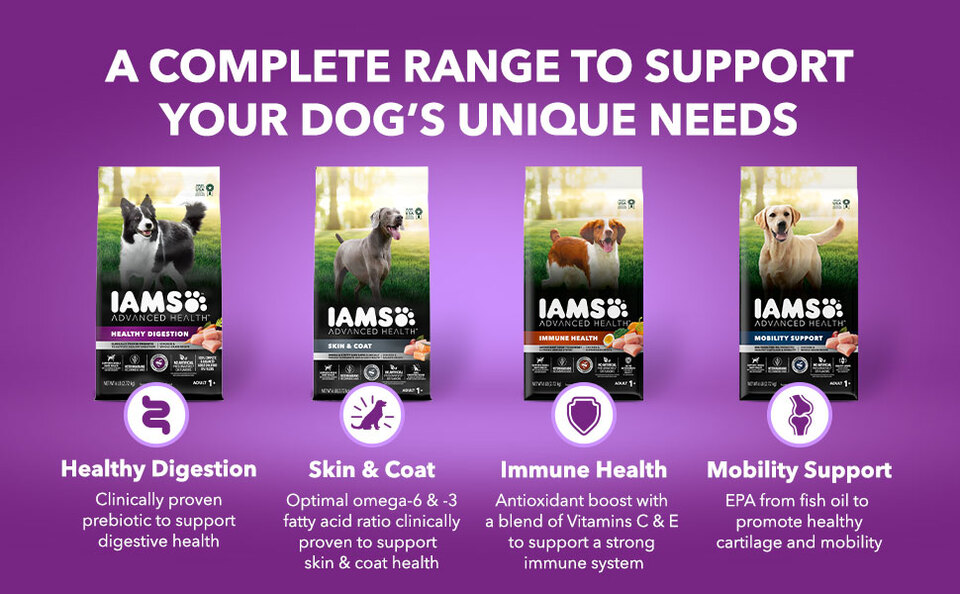 The range on sale iams dog food