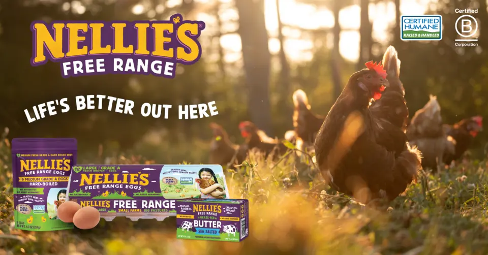 Nellies Eggs Free Range Extra Large Brown - 12 Count - acmemarkets