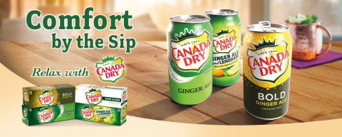  Canada Dry Winter Variety Pack, 12 Ounce (36 Pack) : Grocery &  Gourmet Food