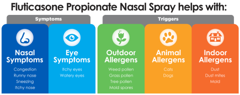 Chart with icons showing fluticasone propionate nasal spray helps with nasal symptoms, eye symptoms, outdoor allergens, animal allergens, and indoor allergens.