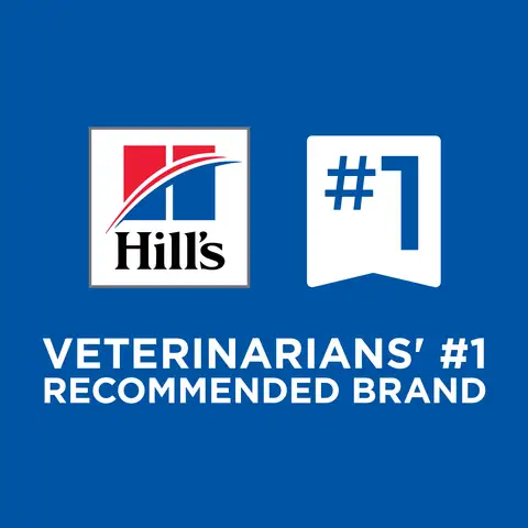 Hill's® Science Diet® 7+ Senior Wet Dog Food - Beef & Barley, 13 oz