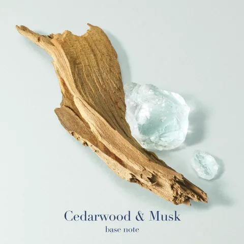 BASE NOTES: CEDARWOOD &amp; MUSK