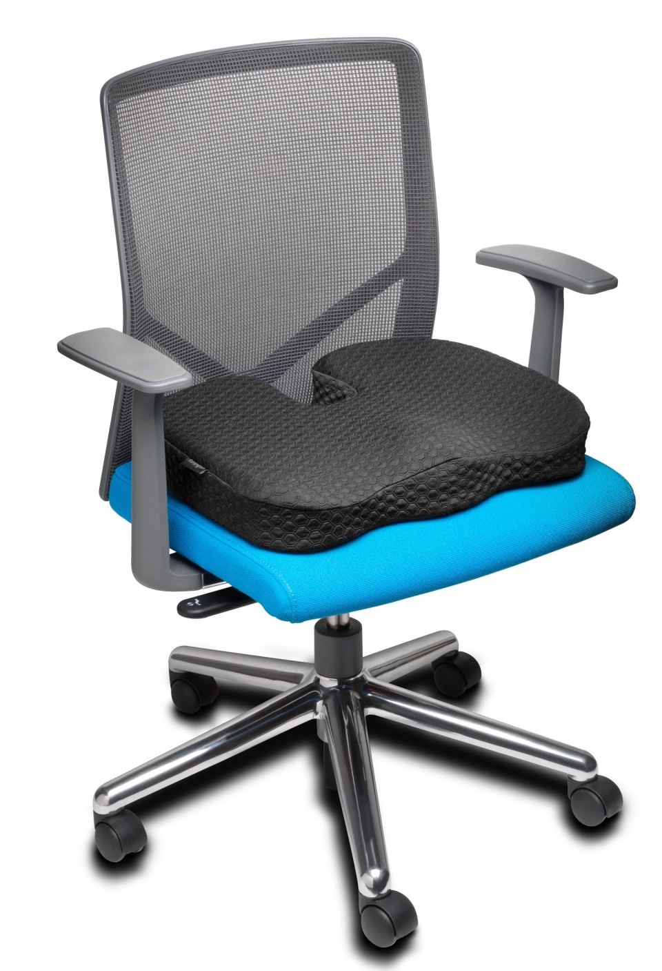 kensington seat cushion
