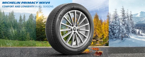 Michelin Primacy MXM4 ZP | 225/55R17 97H | Big O Tires