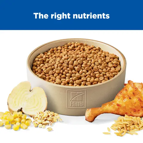 Hill's Science Diet Adult Light Small & Mini Chicken & Barley Dog