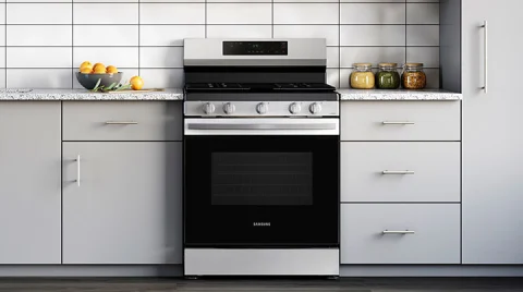 【新品未使用タグ付き】framework  GASコットンアンサンブル Samsung NX60A6111SS 30 Inch Freestanding Gas Smart Range with 5