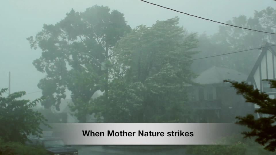 image 11 of Blue Rhino Propane Exchange