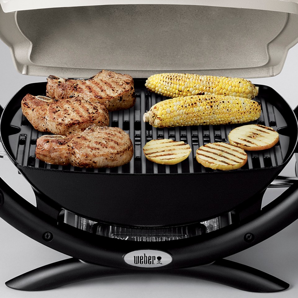 Weber Weber Q 1000 in the Portable Grills department at