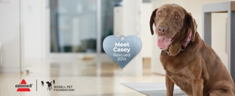 Every Purchase Saves Pets™