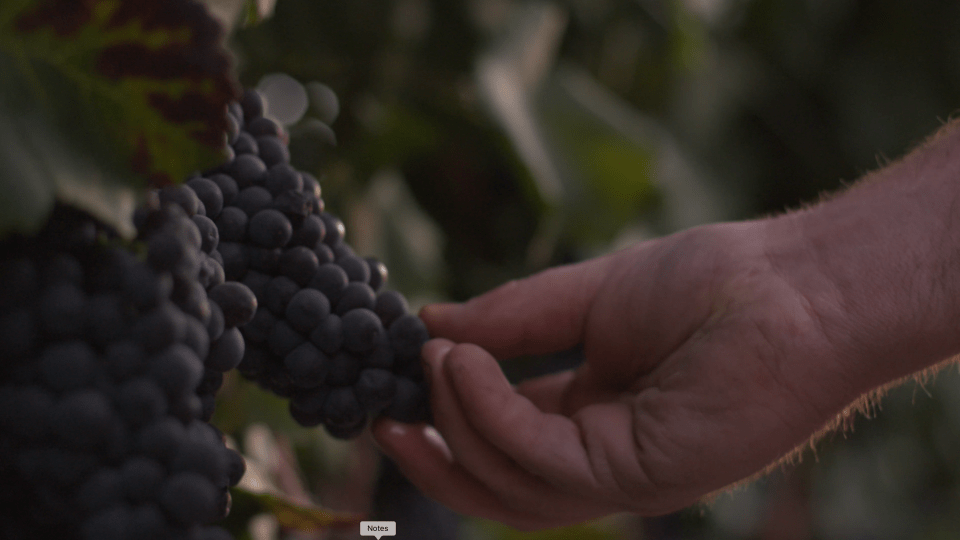 thumbnail video image 2 of Bogle Vineyards Old Vine Zinfandel California Red Wine, 750 ml Glass Bottle, 14.5% ABV, 2 of 5