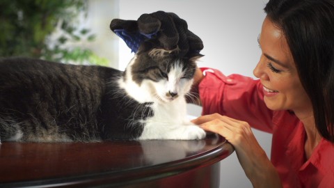true touch pet glove