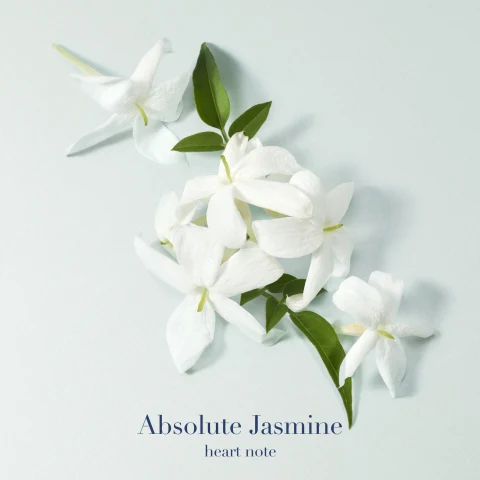 HEART NOTES:  ABSOLUTE JASMINE