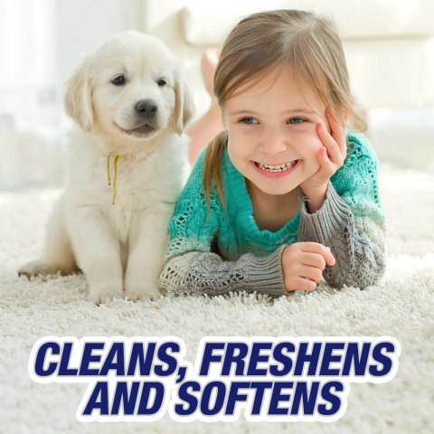 Resolve Pet High Traffic Carpet Foam, Cleans Freshens Softens & Removes  Stains, 22 Fl Oz (Pack of 4)