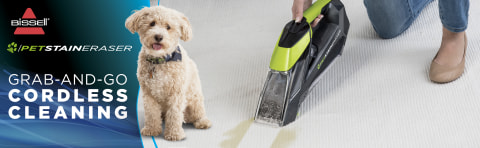 lowes bissell pet stain eraser