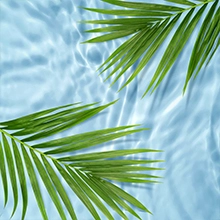 10X More Moisturizers