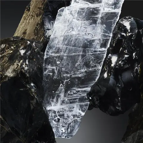 SALTED MINERAL ACCORD