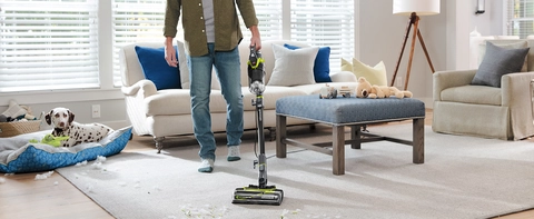 Lightweight & Powerful Pet Hair Pickup