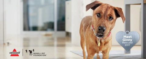 Every Purchase Saves Pets™