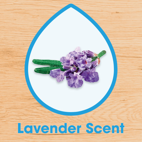 CLR 22 Oz. Lavender Everyday Clean Multi-Purpose Cleaner EC22-LV, 22Oz. -  King Soopers