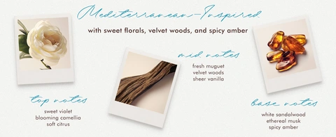 Mediterranean-Inspired with sweet florals, velvet woods, and spicy amber mid notes. fresh muguet velvet woods sheer vanilla Cop notes sweet violet blooming camellia soft citrus base notes. white sandalwood ethereal musk spicy amber