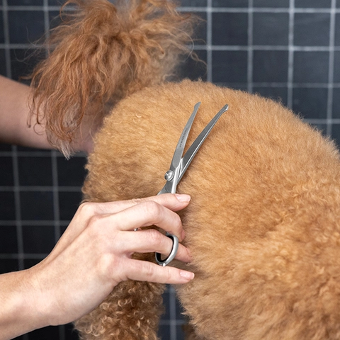 Fur Trimming