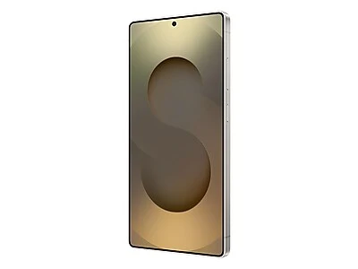 Samsung Galaxy S25 Ultra 256GB (Unlocked) - Titanium Gray