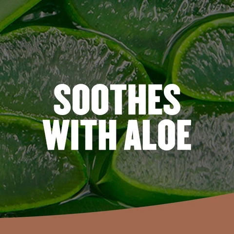 Aloe
