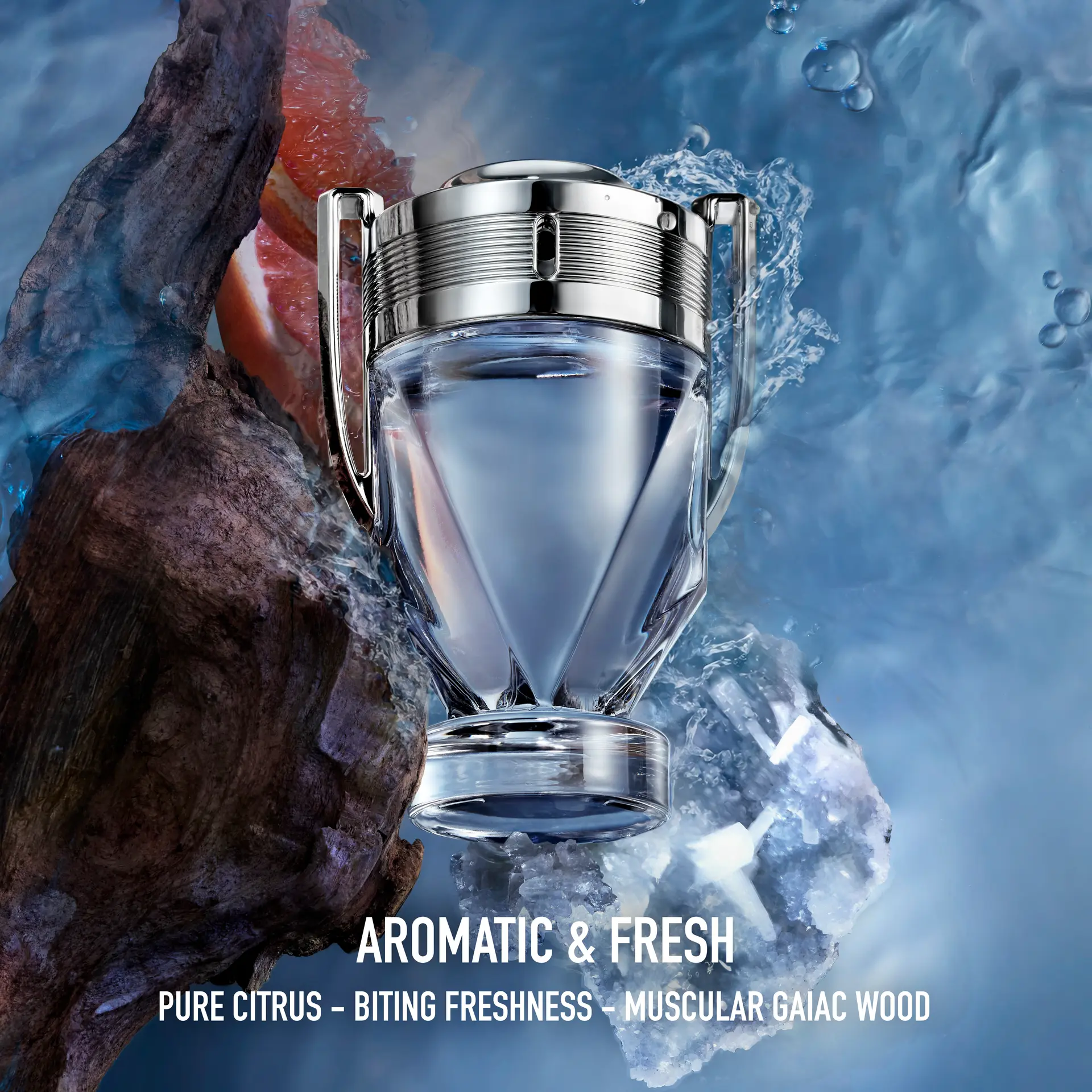 invictus eau de toilette ingredients
