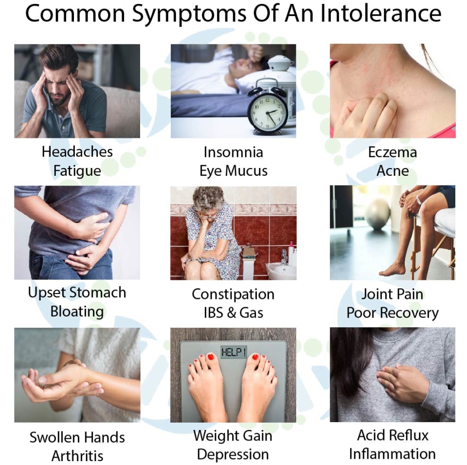 thumbnail video image 2 of 5Strands Food Intolerance Test, 640 Items Tested, Food Sensitivity at Home Test Kit for Adults & Kids, Accurate Hair Analysis, Results in 5 Days, 2 of 8